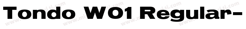 Tondo W01 Regular字体转换